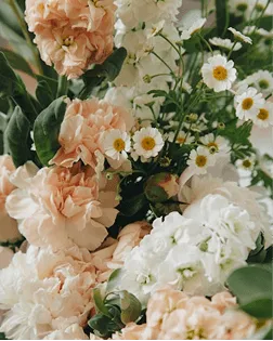Floral