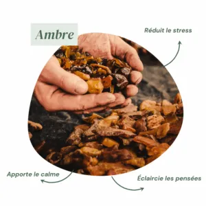 Parfum Ambre - Encens Naturel de Cade