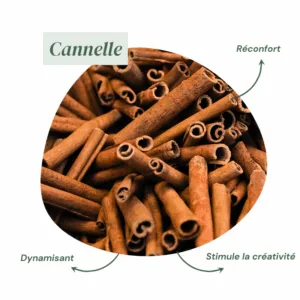 Parfum Cannelle - Encens Naturel de Cade