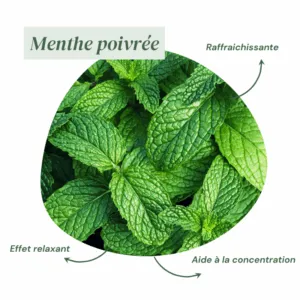Parfum Menthe Poivrée - Encens Naturel de Cade