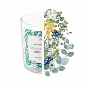 Bougie - Parfum Eucalyptus