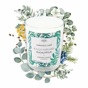 Bougie - Parfum Eucalyptus